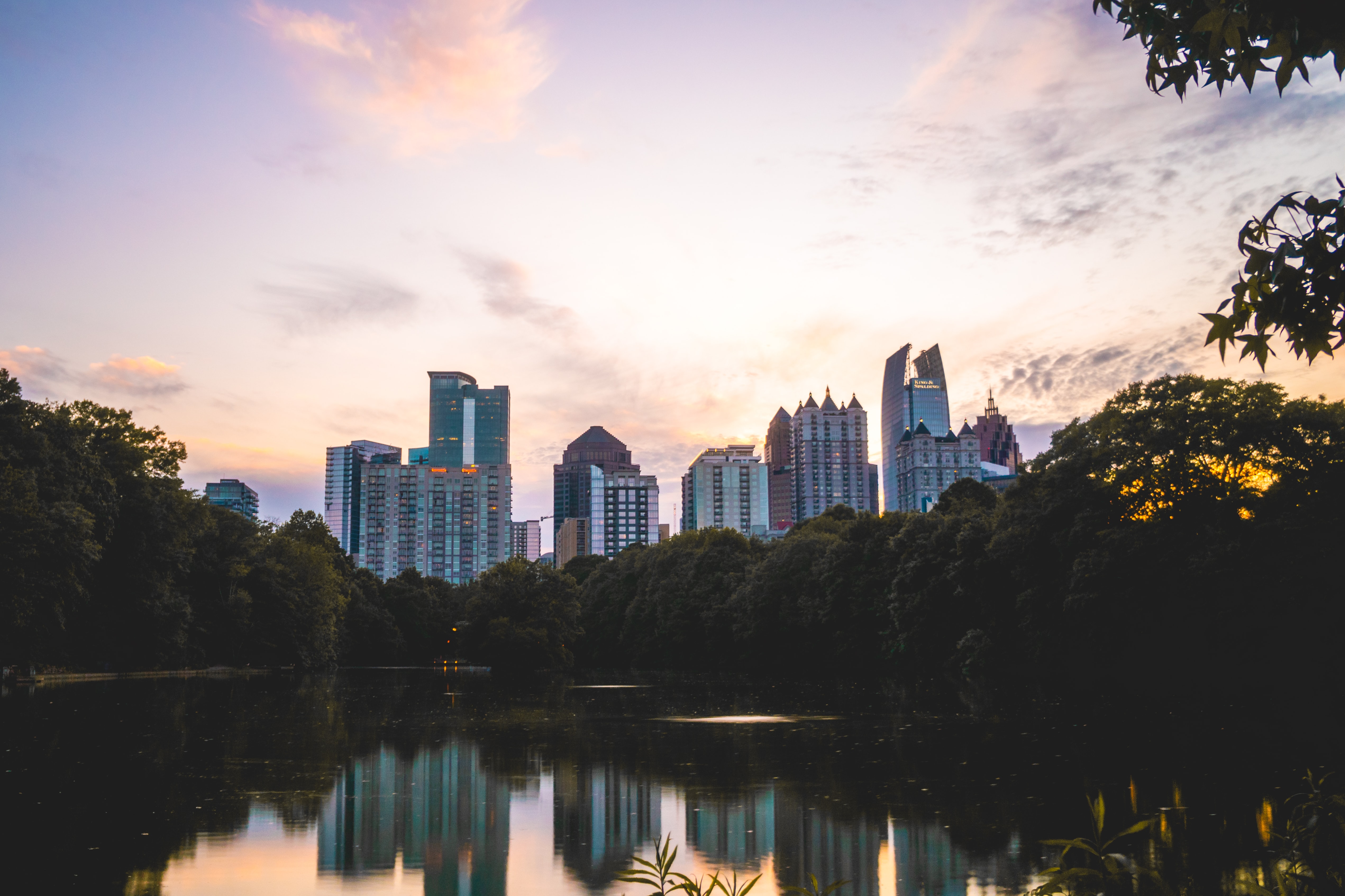 Building Skyline overlooking a park